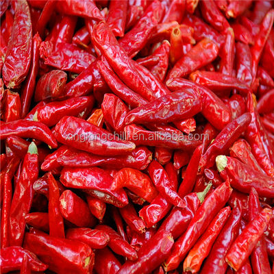 Pó de pimenta orgânico com técnica de secagem AD e 1% de impureza máxima para cozinha chinesa