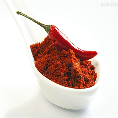 Pó de Pimenta Chilli Sem Glúten com Textura Fina e Alto Teor de Vitamina C para Processamento de Alimentos
