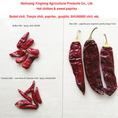 1 ano de validade Paprika doce pimenta seca Chilli vermelho Aditivo para ingrediente alimentar de alta qualidade