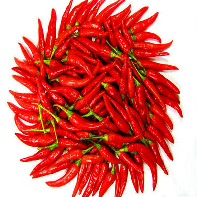 20000 certificado KOSHER de SHU Sanying Tianjin Red Chilies HACCP