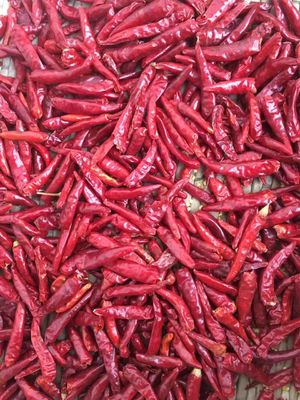 Halal vermelho secado Stemless picante alto das pimentas aprovado