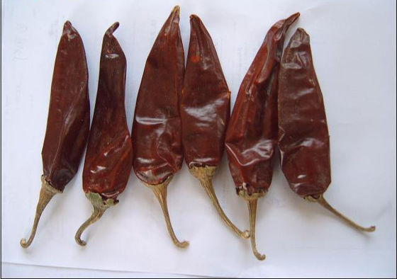 Pimentão secado de tempero 180 ASTA Red Hot Chili Peppers de Guajillo