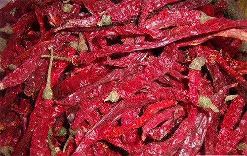 Erjingtiao doce secou a pimenta de Erjingtiao da umidade de Chilis 12% com haste