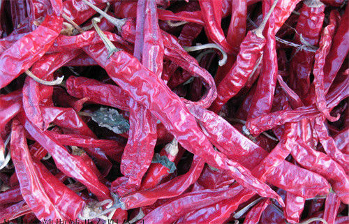 Chilis secado Erjingtiao Stemless esterilizou os pimentões inteiros pungentes