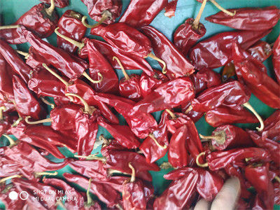 5000 vagens vermelhas secadas A do Chile da categoria de SHU Mild Dried Chilies Stemmed