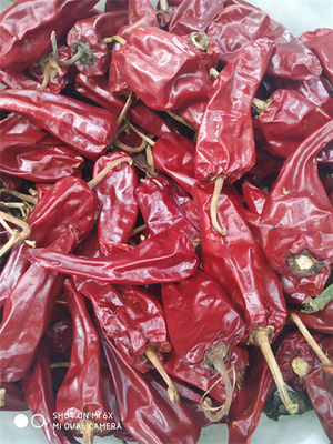 5000 vagens vermelhas secadas A do Chile da categoria de SHU Mild Dried Chilies Stemmed