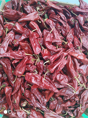 A colheita nova Yidu secou a certificação de Chili With Stem HACCP