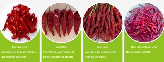 Ingredientes de Chilli de cultivo Armazenados em local frio e seco