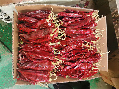 Paprika chinês de alta qualidade com caule, paprika doce com caule/sem caule, pimenta vermelha seca