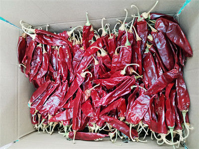 Umidade de Paprika Dried Chile Guajillo Spicy 15% da pimenta doce de Jinta