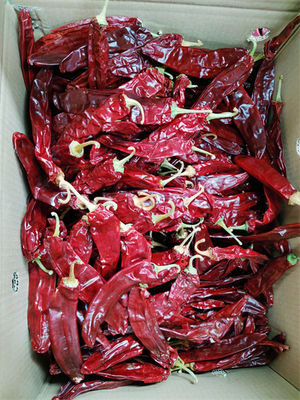 Vagens doces de Paprika Pepper Pungent Dried Chili da umidade de 15% 18CM
