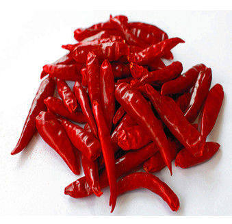 Pimentões vermelhos de Tianjin da umidade de 8% nenhum chinês secado cru Chilis do aditivo