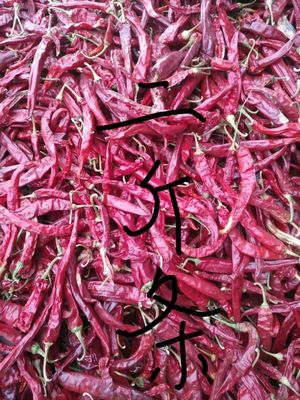 Chilis secado Erjingtiao Stemless esterilizou os pimentões inteiros pungentes
