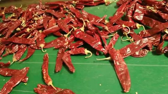 Desidrate Paprika Pepper Non Irradiated Dried doce Chili Pods vermelho 140 Atsa