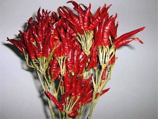 O chinês Stemless secou Chili Peppers 819 SHU Dried Hot Chillies alto