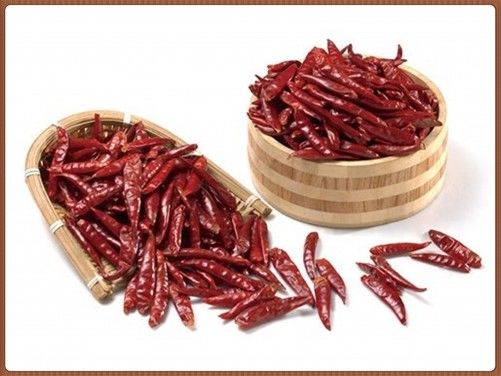 Xinglong secou o vácuo vermelho Chaotian Chili Spicy das pimentas 4CM