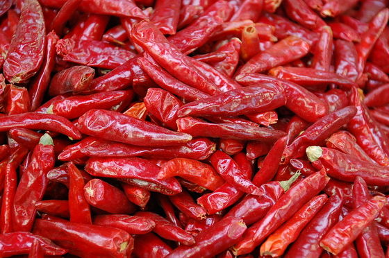 Sanying que desidrata pimentos Mala Dried Whole Chillies KOSHER