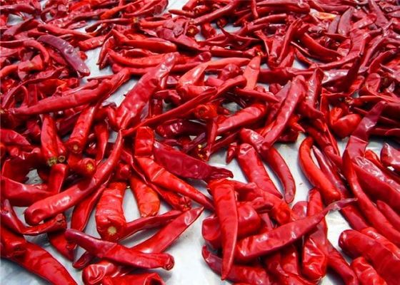 Sanying que desidrata pimentos Mala Dried Whole Chillies KOSHER