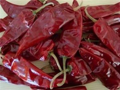 Yidu secou o Chile vermelho salpica vagens do condimento 9CM o Chile do alimento para Pozole