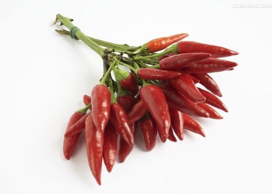 Os pimentões vermelhos secados suaves não irradiados provieram Chili Pods Zero Additive
