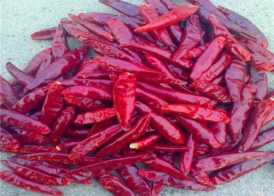 A colheita nova dos pimentões vermelhos comestíveis de Tianjin proveio Arbol secado Chili Peppers