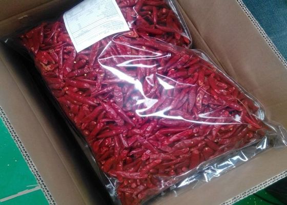 A colheita nova dos pimentões vermelhos comestíveis de Tianjin proveio Arbol secado Chili Peppers