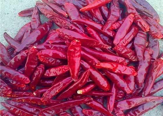 Sanying que desidrata pimentos Mala Dried Whole Chillies KOSHER