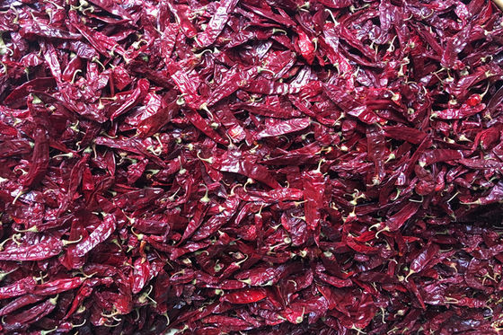 240 ASTA Sweet Paprika Pepper Seedless secaram pimentões vermelhos inteiros NENHUM pigmento