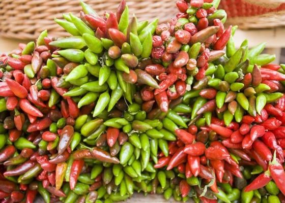 Chilli de olhos de pássaros secos vermelhos fornece vitamina A vitamina C ferro / cálcio - 1 kg