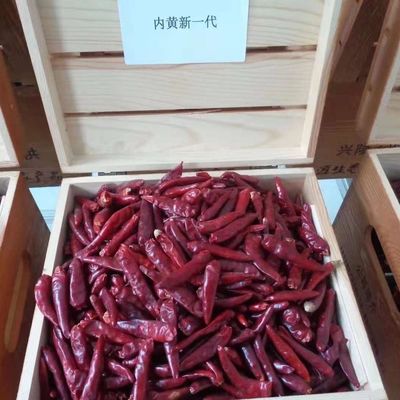 O chinês secou Chili Peppers Chaotian Szechuan Dried vermelho Chili Zero Additive