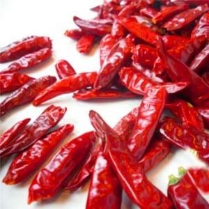 O chinês secou Chili Peppers Chaotian Szechuan Dried vermelho Chili Zero Additive