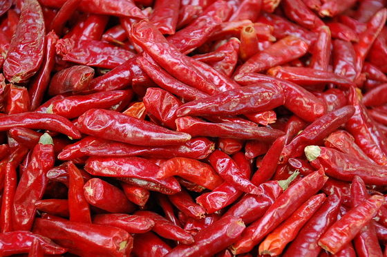 Pimentões vermelhos de Tianjin da umidade de 8% nenhum chinês secado cru Chilis do aditivo