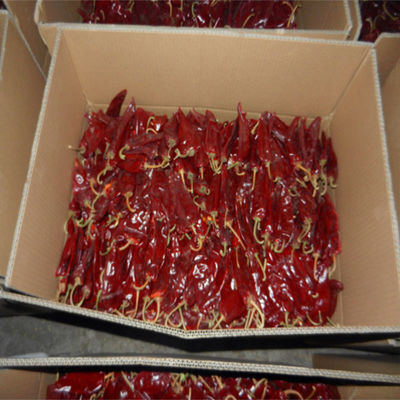 XingLong secou a garra vermelha da umidade das pimentas de Bell 8% secou a pimenta