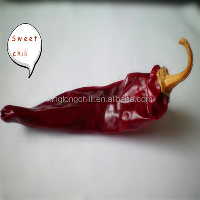 Paprika vermelha secada grânulo de Guajillo Chili Single Herb Dehydrated Spicy