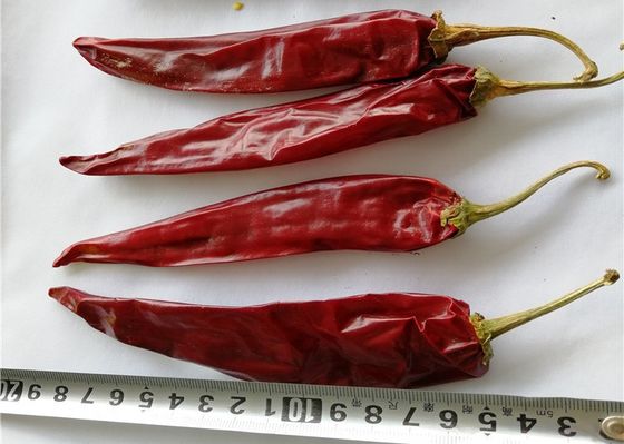 Paprika vermelha secada grânulo de Guajillo Chili Single Herb Dehydrated Spicy