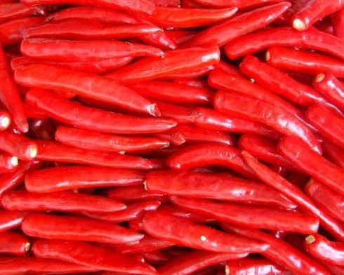 Pimentão secado de tempero 180 ASTA Red Hot Chili Peppers de Guajillo