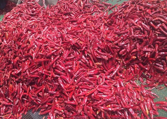 Chilis vermelhos redondos de Tianjin (100 g)