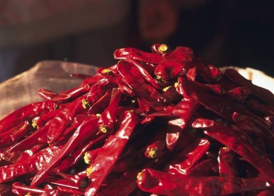 Erjingtiao Chilis secos com 8-12% de humidade e processo de secagem a ar