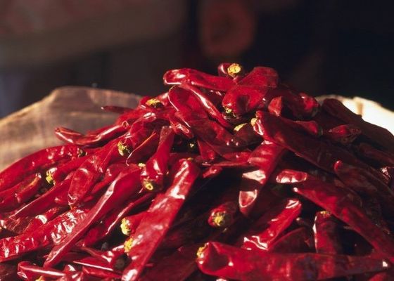 Erjingtiao vermelho secou Chilis Chili Peppers de desidratação provindo picante