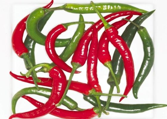 Erjingtiao Seco Aéreo Chilis Secos Sem Estem e Embalado com Pimentões