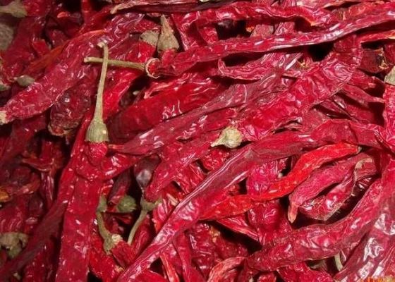 Erjingtiao Chilis secos com 8-12% de humidade e processo de secagem a ar