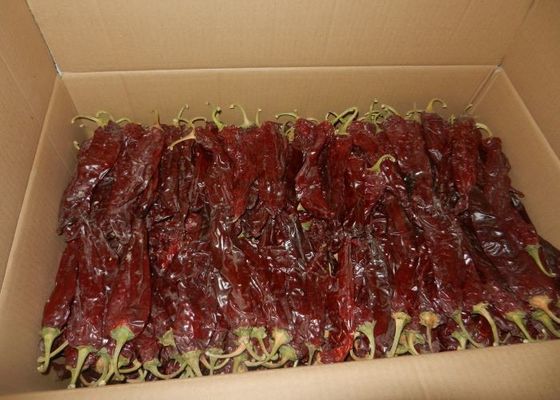 Forma de bastão Cereja vermelha Guajillo Chilis Grau A 10-15cm Tamanho