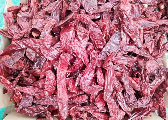 Guajillo seco de grau A, pimenta vermelha sem caule