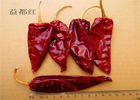 12cm secou a umidade vermelha secada pungente de Chili Pods 12% das pimentas picantes