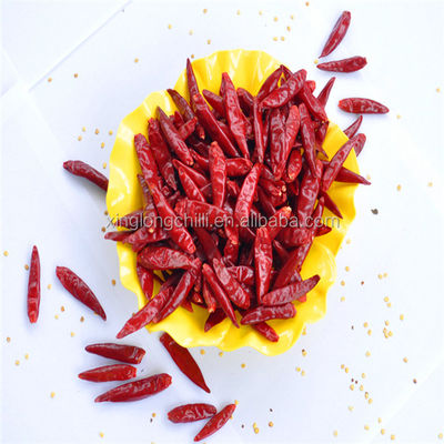 As marinadas usam o pimentão secado 7cm que de Guajillo Sun secou as pimentas vermelhas não picantes