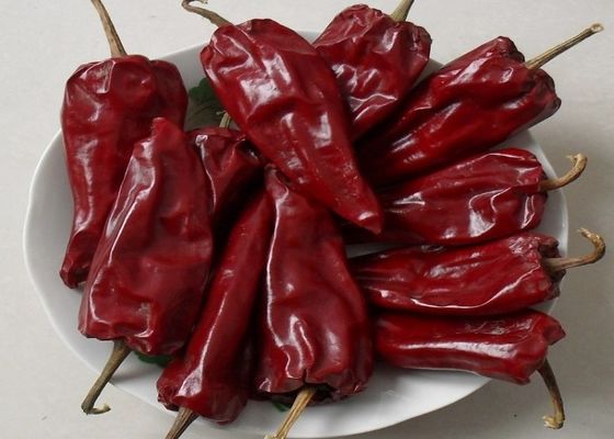 220 pimentas de ASTA Paprika Sweet Red Pepper Dried Guajillo o Chile lascam-se