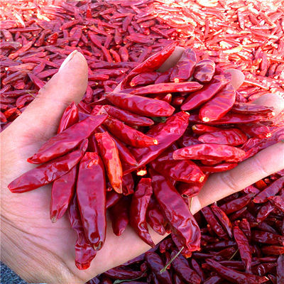Tientsin secou pimentas vermelhas 15000 SHU Dehydrated Spicy Red Paprika
