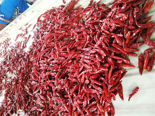 pimenta vermelha inteira seca Nutritiva, picante e rica em vitamina C