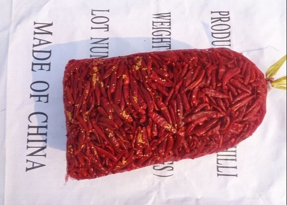 O chinês vermelho cru dos pimentões de Tianjin do Pungency alto secou Chili Peppers vermelho