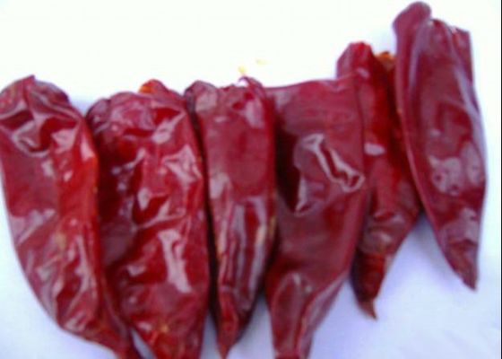 Pimentões 2000 vermelhos secos longos crus de Yidu Chili Zero Additive Scoville